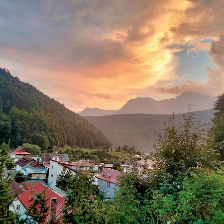 Doi Iepuri Appartement Azuga Buitenkant foto