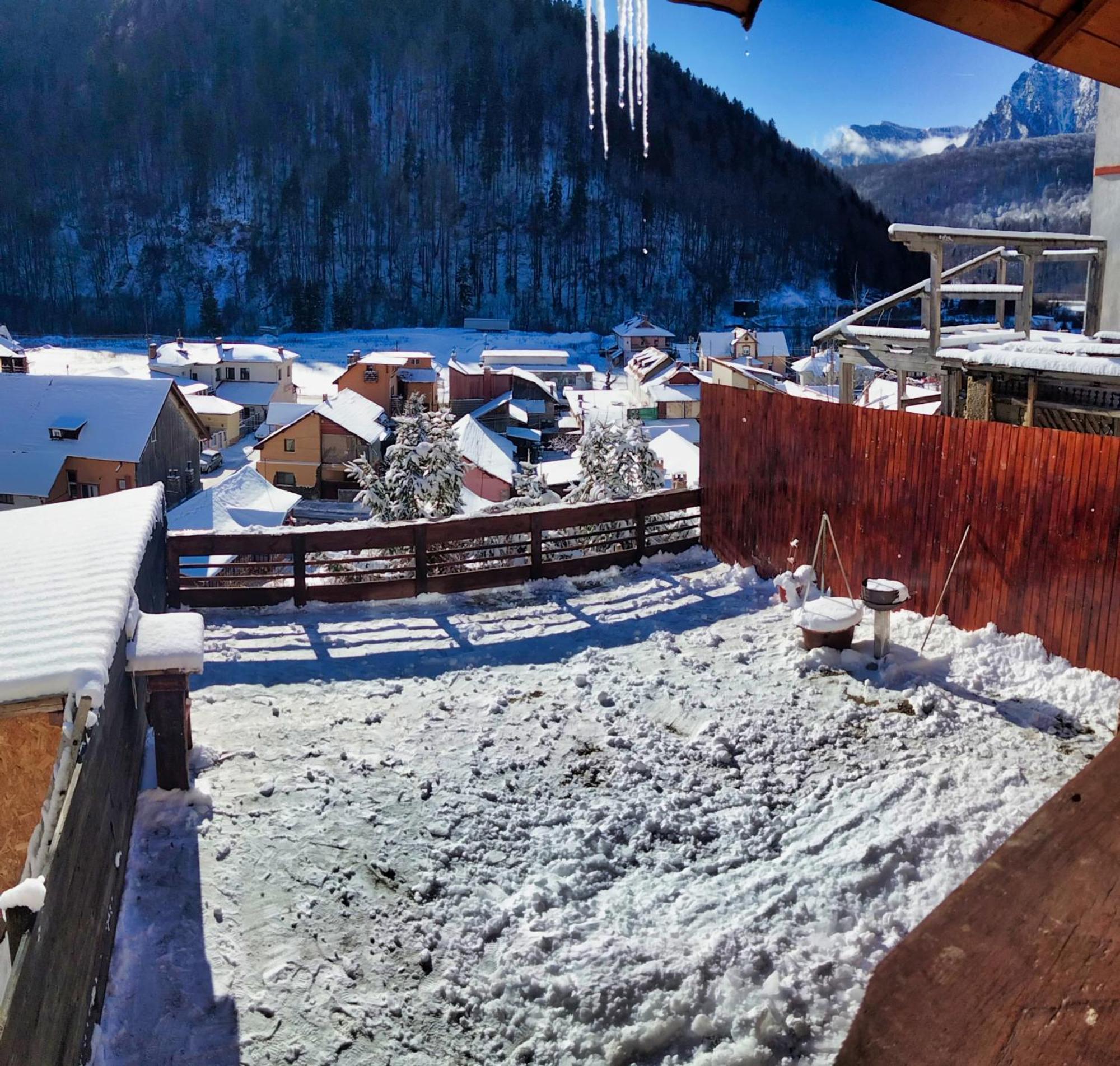 Doi Iepuri Appartement Azuga Buitenkant foto