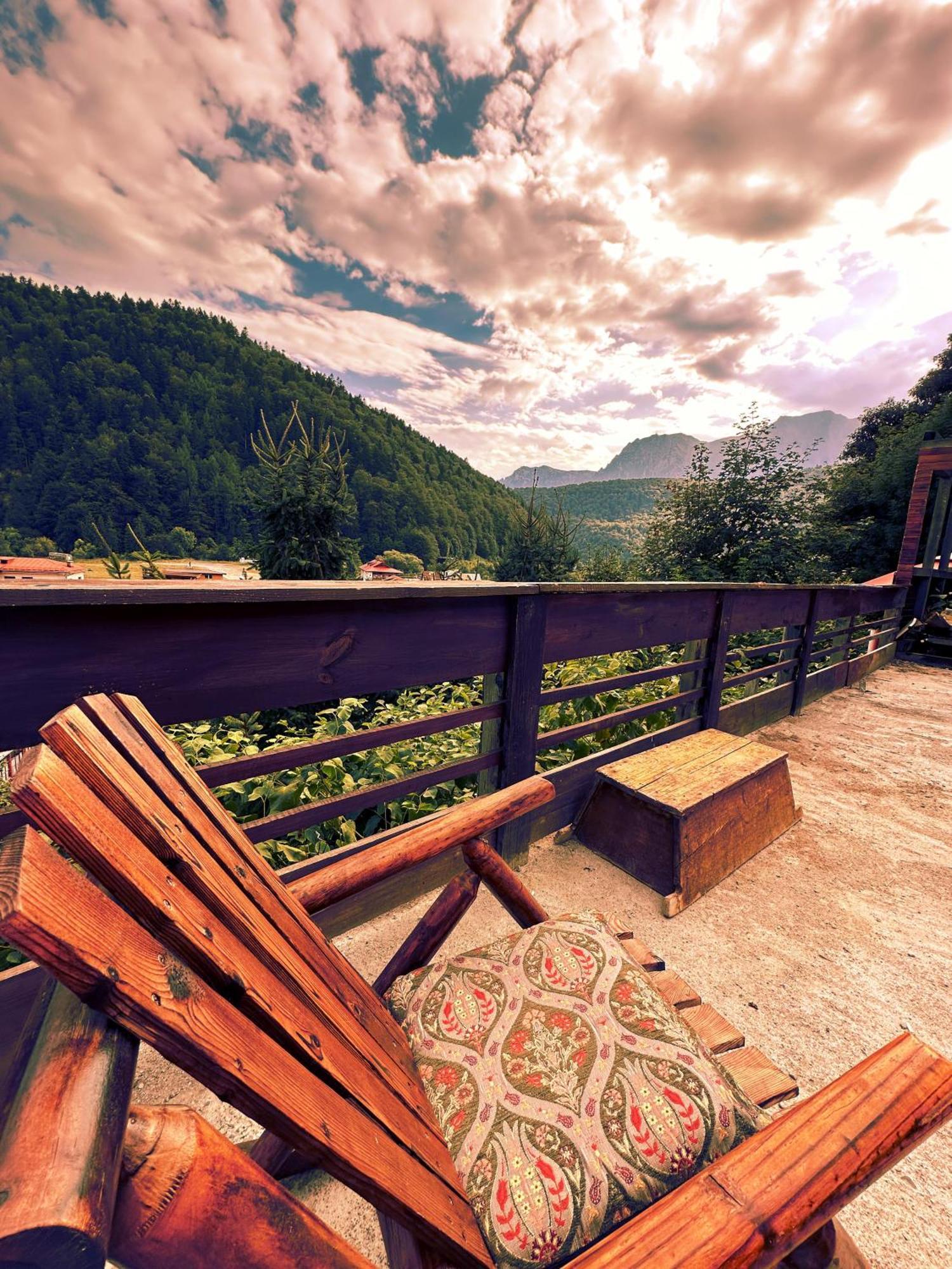 Doi Iepuri Appartement Azuga Buitenkant foto
