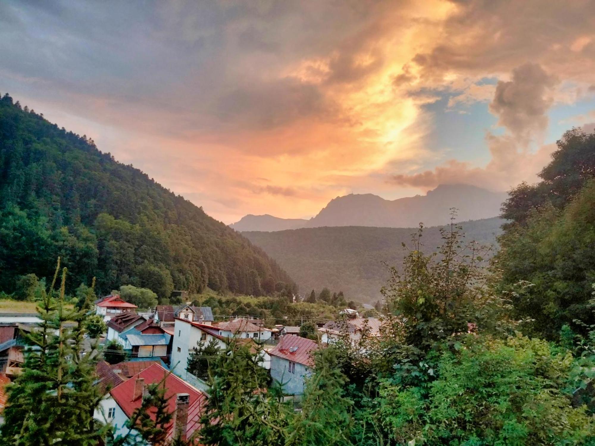 Doi Iepuri Appartement Azuga Buitenkant foto